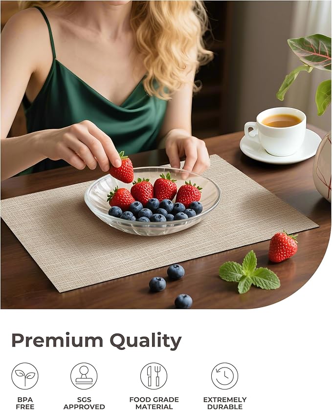 Leetaltree Beige Placemats Set of 6 - Heat-Resistant, Non-Slip Table Mats, Washable Woven Vinyl for Indoor & Outdoor Dining