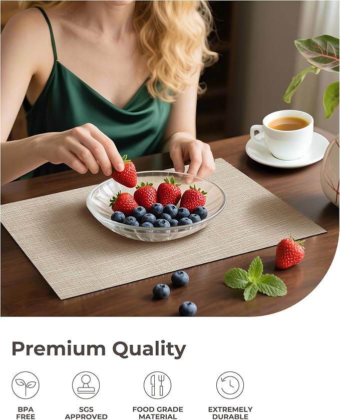 Leetaltree Beige Placemats Set of 12 - Heat Resistant Non-Slip Place mats for Dining Table, Washable Durable PVC Vinyl Woven Table Mats(Beige, 12)