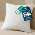 Phantoscope 20x20 Throw Pillow Inserts, Ultra-Soft Air Layer Pillow 1 Pack | Premium Down Alternative Throw Pillows for Couch, Bedroom, Soft Choppable Decorative Pillows, Square Cushion Sham Stuffer