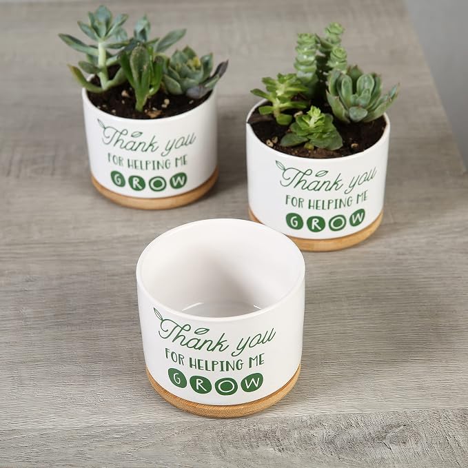 DOMG Teachers Appreciation Gift, Ceramic Succulent Plant Pot Small Flower Planter for Indoor Outdoor Use, Thank You for Helping Me Grow (Pack of 2)