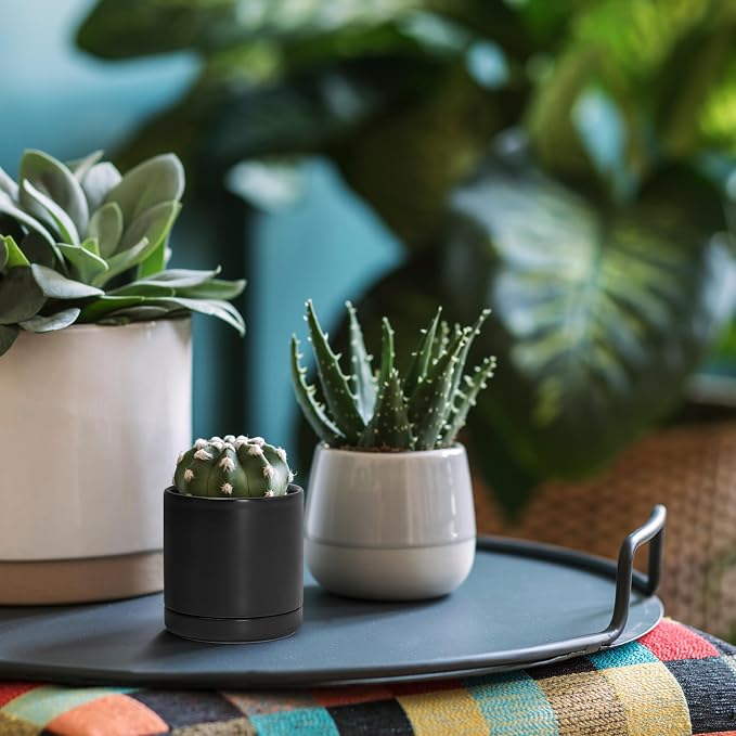 D'vine Dev 3.5 Inch Ceramic Planter Pot, Black, 94-O-A-2 | Modern Cylinder Design, Drainage Hole & Saucer Included, Stable Structure, Elegant Home Accent