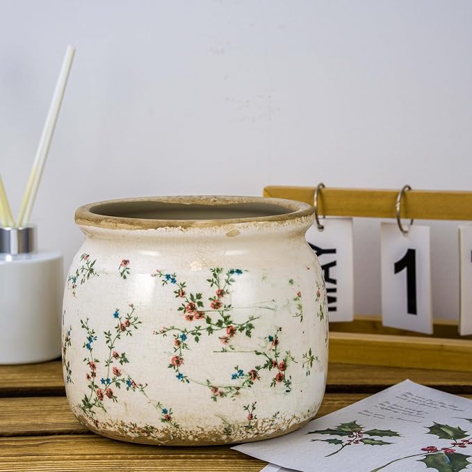 Dosayes Vintage Plant Pot,6.29 inch Ceramic Flower Pot with Drainage