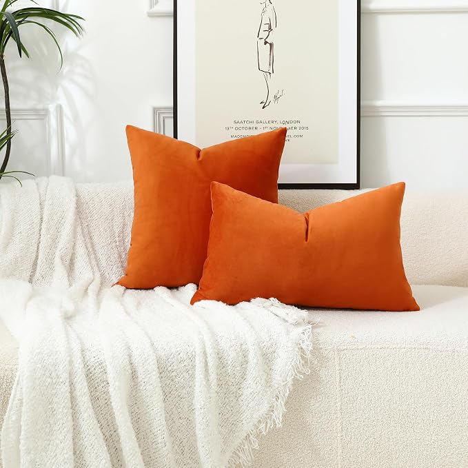 Stellhome Pack of 2, Fall Decorative Soft Velvet Throw Pillow Covers Square Soft Cushion Covers, Home Decor Decorations for Sofa Couch Bed Chair, 22 x 22 Inch/55 x 55 cm, Burnt Orange