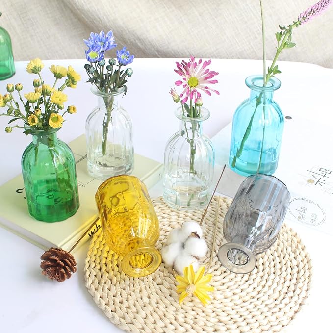 Set of 12 Glass Vases Bud Vases in Bulk, Small Vase for Flowers (Pack of 2)