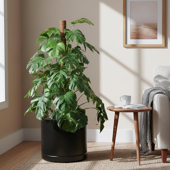 D'vine Dev 16 Inch Ceramic Planter Pot, Black, 94-O-H-2 | Modern Cylinder Design, Drainage Hole & Saucer Included, Stable Structure, Elegant Home Accent