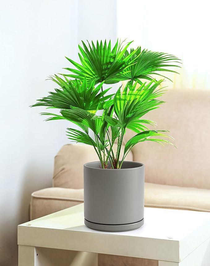D'vine Dev 8 Inch Ceramic Planter Pot, Grey, 94-O-D-3 | Modern Cylinder Design, Drainage Hole & Saucer Included, Stable Structure, Elegant Home Accent