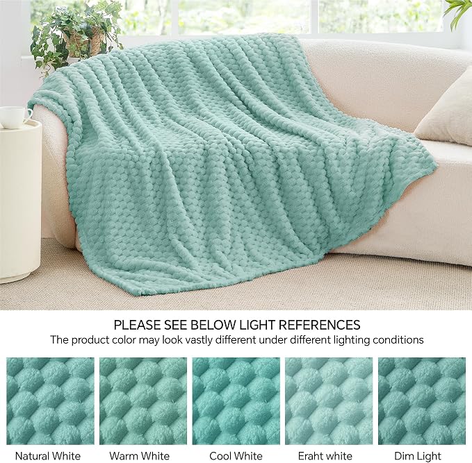 BEDELITE Haze Blue Twin Blanket for Couch, Soft Cozy Gifts for Women, 60*80 | 3D Jacquard Decorative Fleece Blanket, Super Soft Plush Throws, Cute Birthday Gift for Women & Men, Suitable for All Seasons