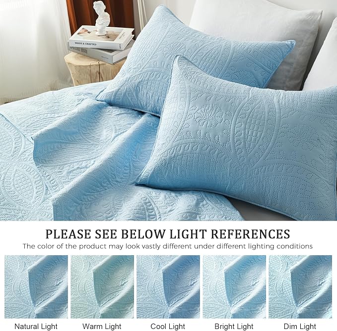 akkialla King Quilt Bedding Set,Sky Blue Ultrasonic King/Cal King Quilt Set,Lightweight Soft Bedspread Coverlet,Modern Style Coin Pattern Bed Cover for All Seasons,3 Piece(1 Quilt,2 Pillow Shams)
