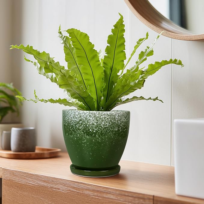 6 Inch Plant Pot - Ceramic Plant Pots with Drainage Hole and Saucer, Ceramic Planter for Indoor Outdoor Plants, Round Modern Planter, Room House Decor, Gifts for Women Men, Green