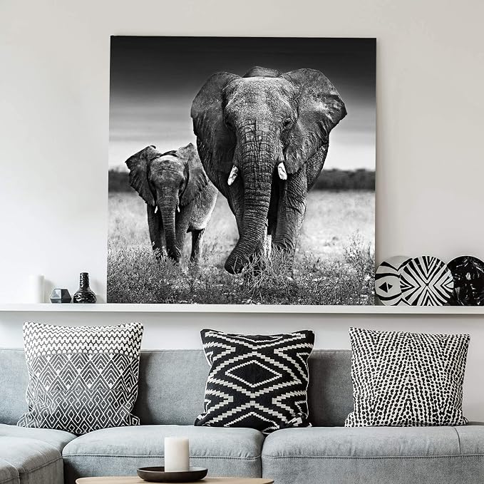 Elephants Canvas Picture Wall Art: Black and White African Animal Painting for Living Room Bedroom - 36"x36" Gray Decor