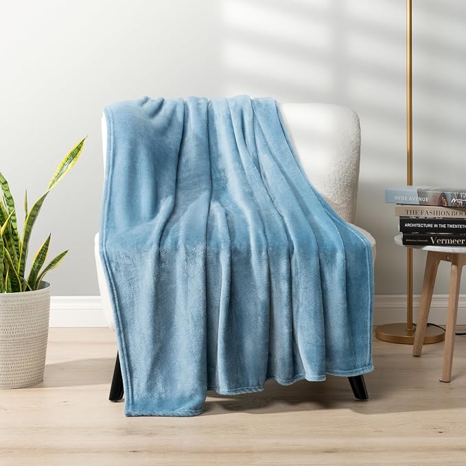 PAVILIA Fleece Blanket Throw Twin Size | Super Soft, Plush, Luxury Flannel Throw | Lightweight Microfiber Blanket for Sofa Couch Bed (Dusty Blue, 60x80 inches)