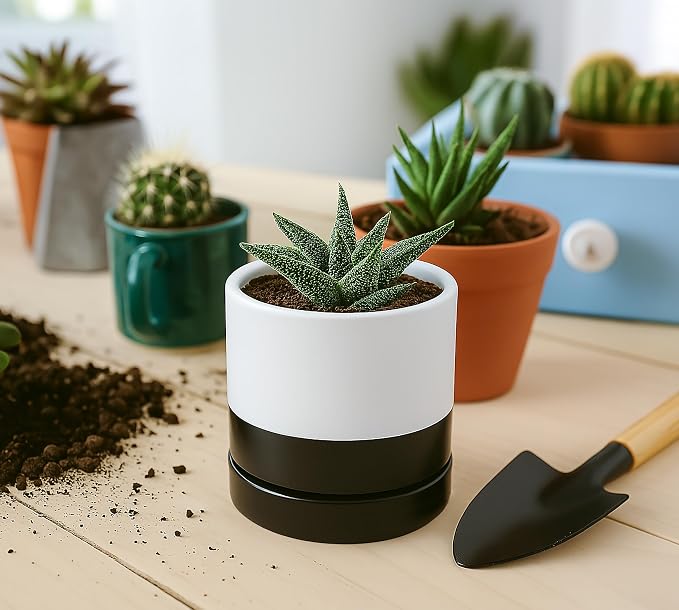 D'vine Dev 4.7 Inch Ceramic Planter Pot, Black White Two Tone, 94-O-B-L | Modern Cylinder Design, Drainage Hole & Saucer Included, Stable Structure, Elegant Home Accent