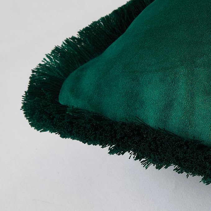 JUSPURBET Forest Green Velvet Throw Pillow Covers 26x26 Inch Set of 2 with Soft Tassel Fringe Luxury Boho Pillowcase for Sofa Couch Bed Home Decor Machine Washable
