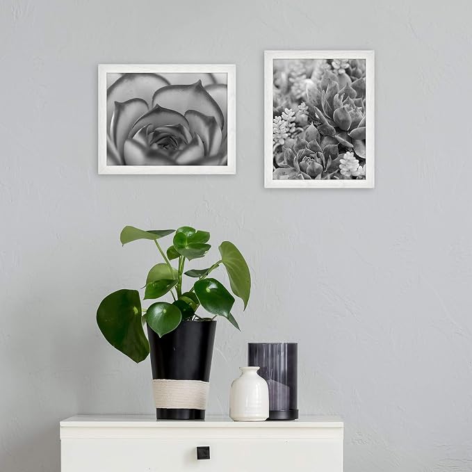 MCS Gallery Essential 8.5x11 Diploma Frame Set for Gallery Wall, White Picture Frame for Documents, Awards & Certificates (2-Pack)