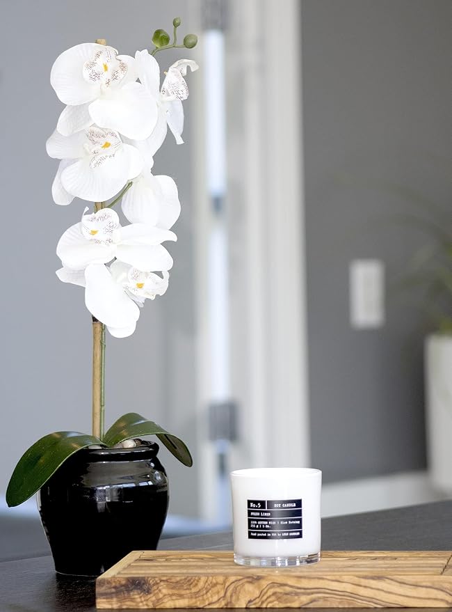 Lulu Candles | White Jasmine & Green Tea | Luxury Scented Soy Jar Candle | Hand Poured in The USA | Highly Scented & Long Lasting (9 Oz.)