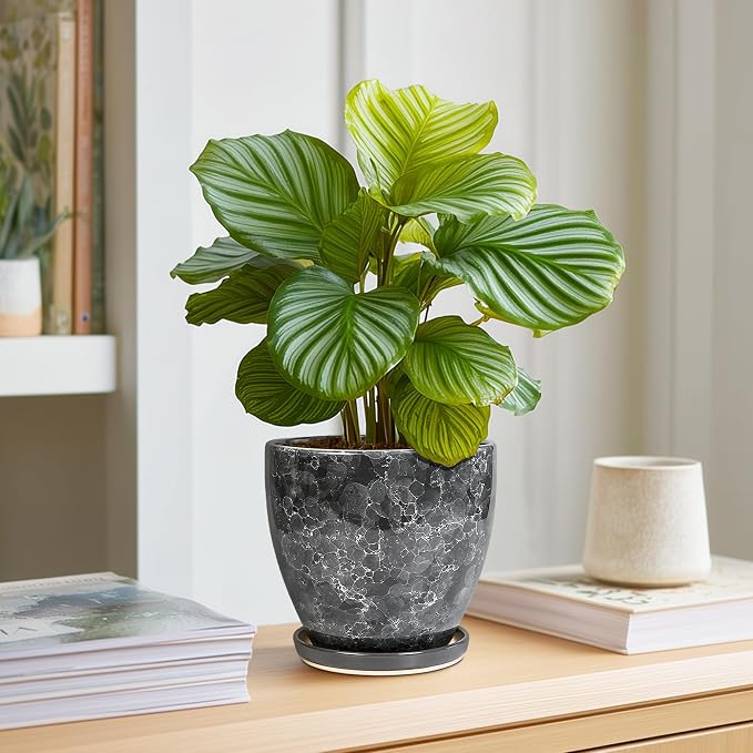 Ceramic Pots for Plants - 6 Inch Ceramic Planter with Drainage Hole and Saucer, Modern Planters for Indoor Outdoor Plants, Round Planter, Home Garden Decor, Plant Lover Gifts, Grey