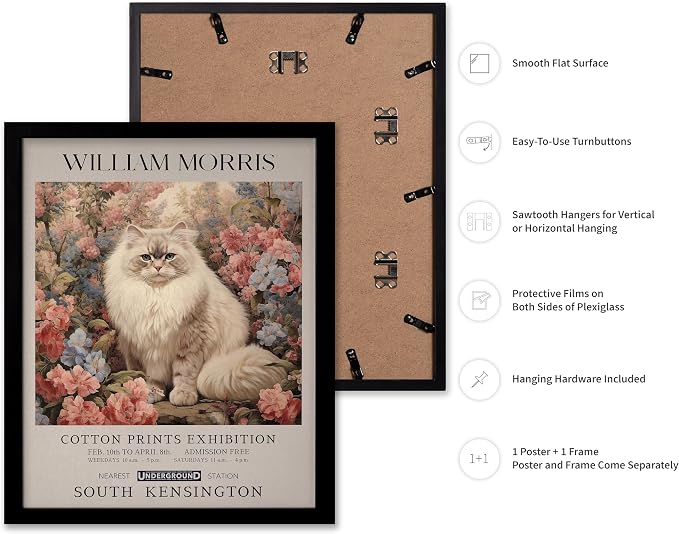 Poster Master Persian Cat Print - Flower & Botanical Illustration - Animal Exhibition & Floral Painting - Aesthetic Office or Bedroom Decor - 16x20 Black Framed