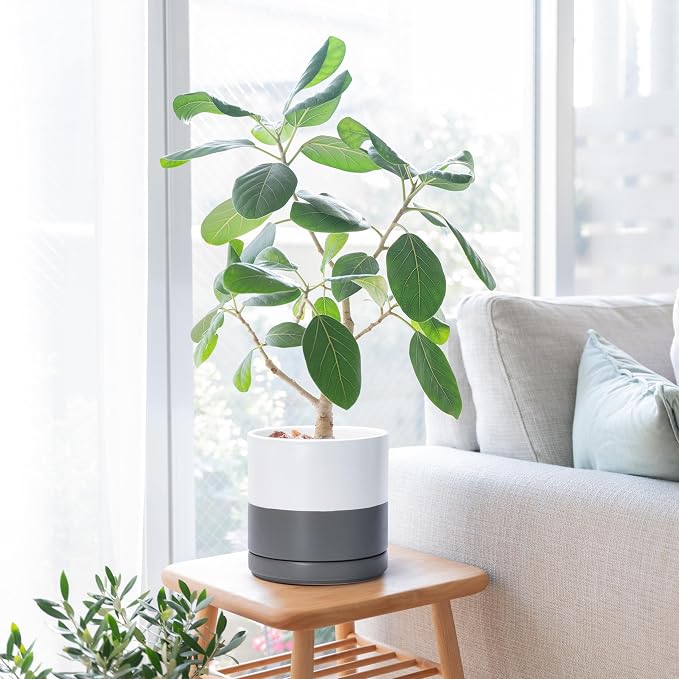 D'vine Dev 8.2 Inch Ceramic Planter Pot, White/Grey, 94-O-D-6 | Modern Cylinder Design, Drainage Hole & Saucer Included, Stable Structure, Elegant Home Accent