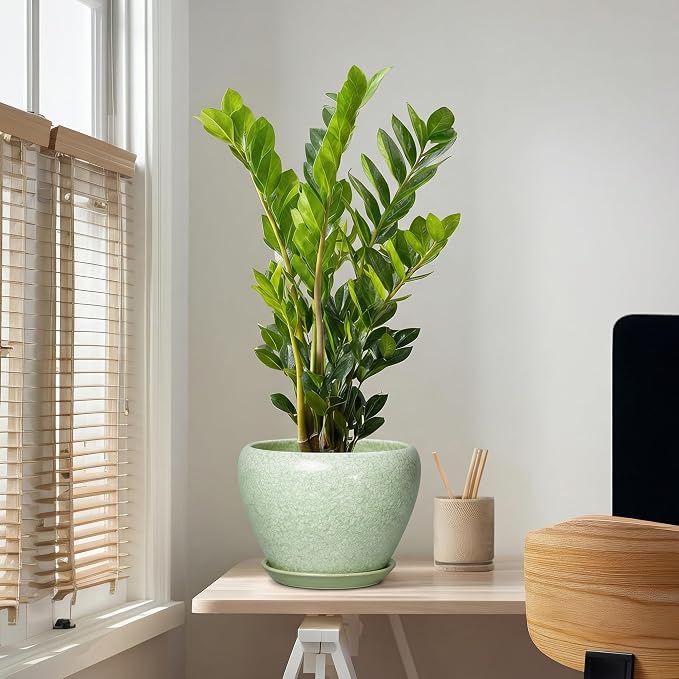 10 Inch Planter, Ceramic Plant Pots, Crackle Light Green | Indoor Pots for Plants with Drainage Hole and Saucer, Round Planter for Indoor Plants, Room Decor, Gifts for Plant Lovers