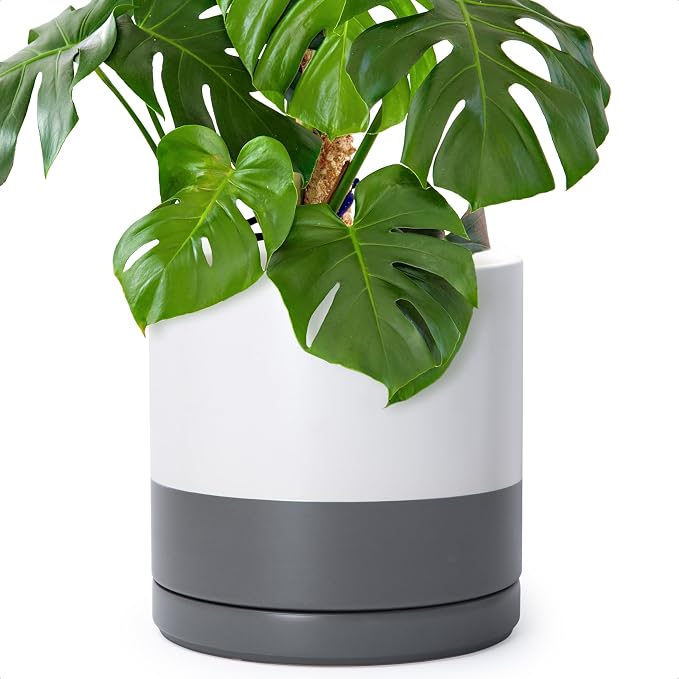 D'vine Dev 12 Inch Ceramic Planter Pot, White/Grey, 94-O-F-6 | Modern Cylinder Design, Drainage Hole & Saucer Included, Stable Structure, Elegant Home Accent