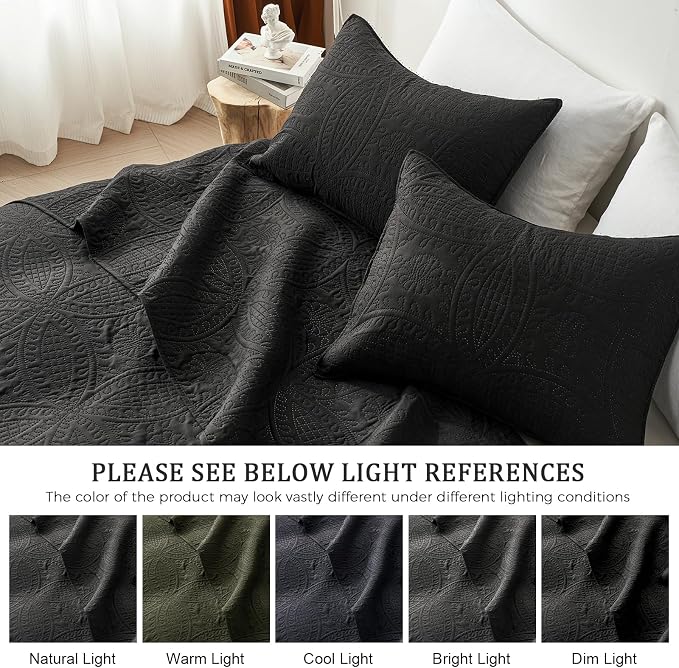 akkialla Queen Quilt Bedding Set,Black Ultrasonic Full/Queen Quilt Set,Lightweight Soft Bedspread Coverlet,Modern Style Coin Pattern Bed Cover for All Seasons,3 Piece(1 Quilt,2 Pillow Shams)