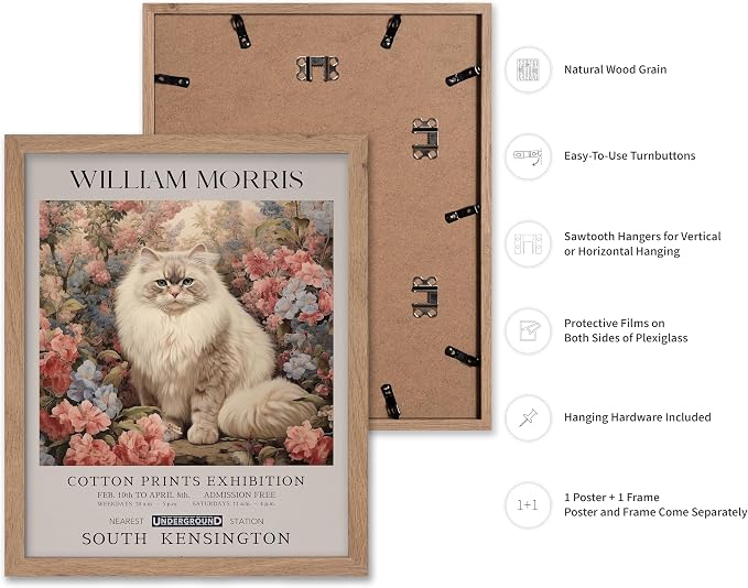 Poster Master Persian Cat Print - Flower Art - Botanical Design - Exhibition Display - Animal Illustration - Floral Cat Painting - Aesthetic Office or Bedroom Decor - 11x14 Beige Framed