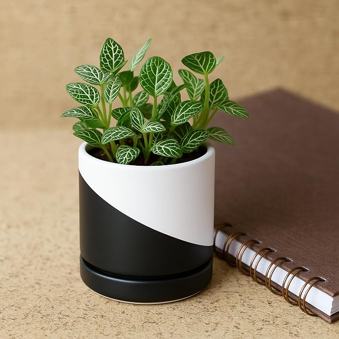 D'vine Dev 3.5 Inch Ceramic Planter Pot, Black White Diagonal, 94-O-A-K | Modern Cylinder Design, Drainage Hole & Saucer Included, Stable Structure, Elegant Home Accent