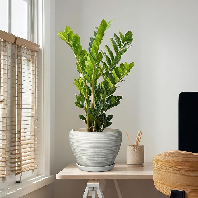 Ceramic Plant Pots Indoor, 10 Inch Planter, Textured Grey | Modern Planters for Indoor Plants, Large Flower Pots with Drainage Hole and Saucer, Bedroom Decor, Gardening Gifts