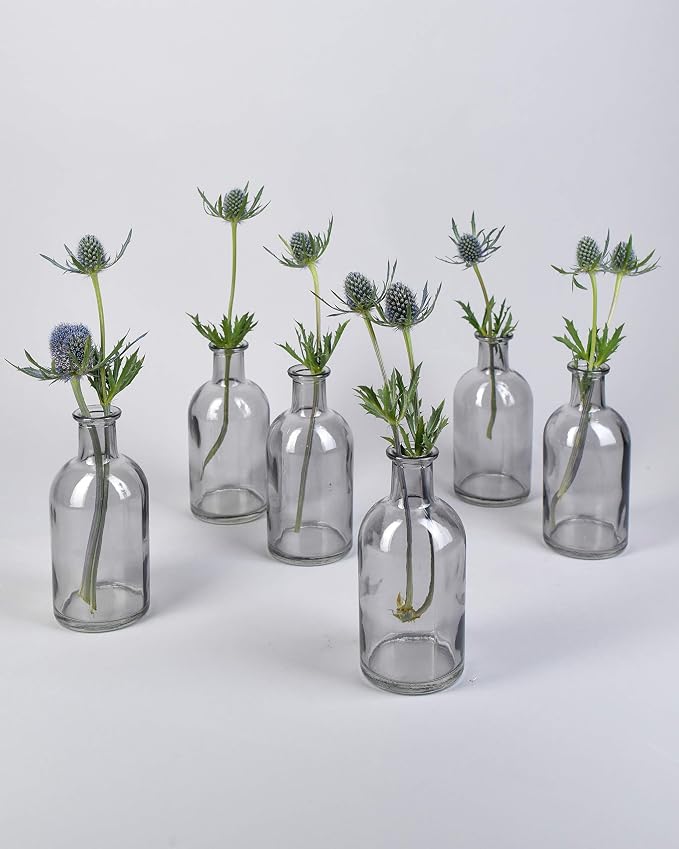 Bud Vases, Apothecary Jars, Decorative Glass Bottles, Centerpiece for Wedding Reception, Elegant Antique Decoration, Mini Flower Vases, Small Medicine Bottles for Home Decor (Smoke Gray, Set of 6)