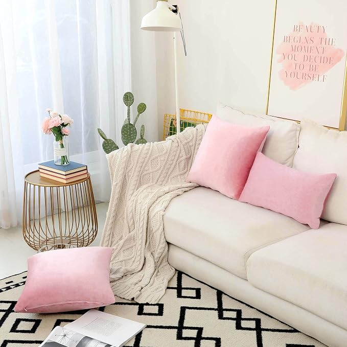 Home Brilliant Pillow Covers 18x18 Set of 2 Solid Soft Velvet Pink Decorative Pillow Covers Gift for Girls, 45cm, 18 inches, Blush Pink