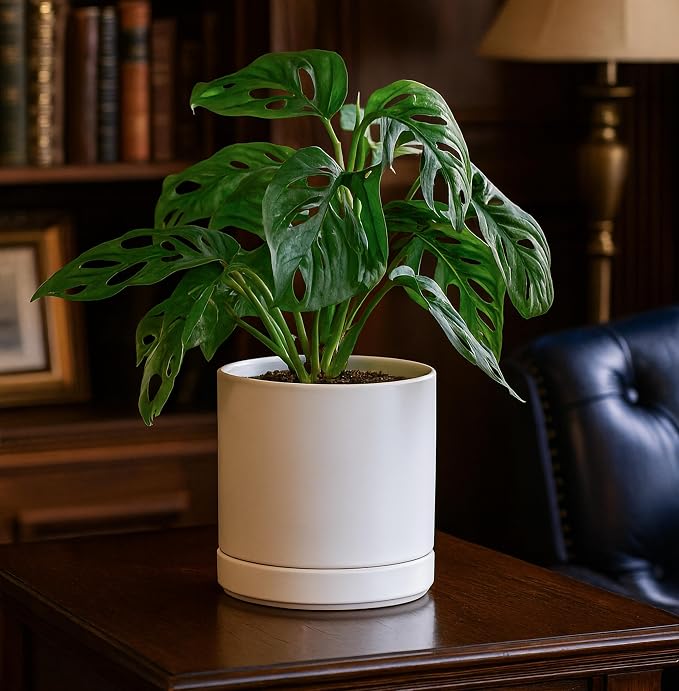 D'vine Dev 6.5 Inch Ceramic Planter Pot, White, 94-O-C-1 | Modern Cylinder Design, Drainage Hole & Saucer Included, Stable Structure, Elegant Home Accent