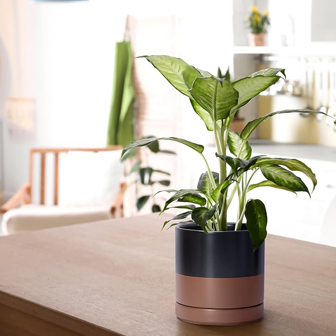 D'vine Dev 6.5 Inch Ceramic Planter Pot, Black/Tan, 94-O-C-7 | Modern Cylinder Design, Drainage Hole & Saucer Included, Stable Structure, Elegant Home Accent