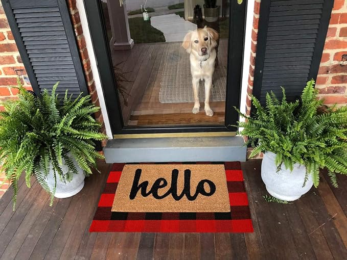 LEVINIS Cotton Red and Black Plaid Outdoor Rug 3'×2'- Machine Washable Buffalo Plaid Rug for Kitchen/Bath Room/Outdoor/Indoor Front Porch Décor