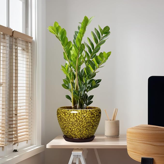 10 Inch Ceramic Pots for Plants, Indoor Plant Pot, Yellow Leopard | Round Planters for Indoor Plants, Modern Large Planter with Drainage Hole and Saucer, Garden Decor, Gifts for Gardeners