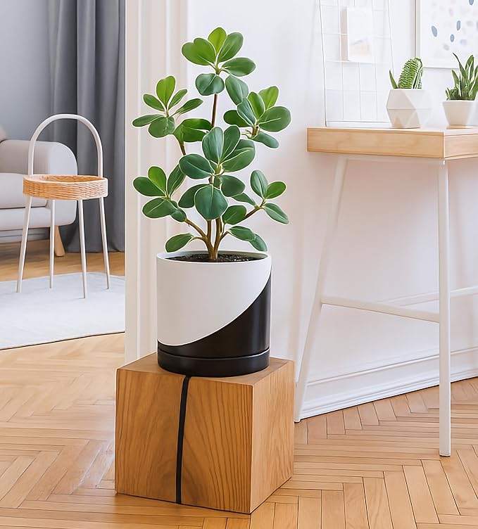 D'vine Dev 8.2 Inch Ceramic Planter Pot, Black White Diagonal, 94-O-D-K | Modern Cylinder Design, Drainage Hole & Saucer Included, Stable Structure, Elegant Home Accent