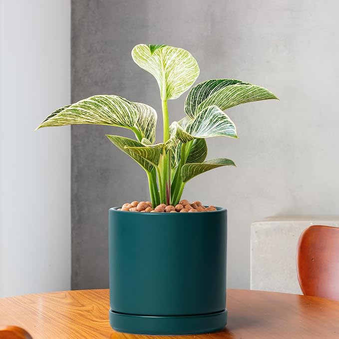 D'vine Dev 6 Inch Ceramic Planter Pot, Teal, 94-O-C-9 | Modern Cylinder Design, Drainage Hole & Saucer Included, Stable Structure, Elegant Home Accent