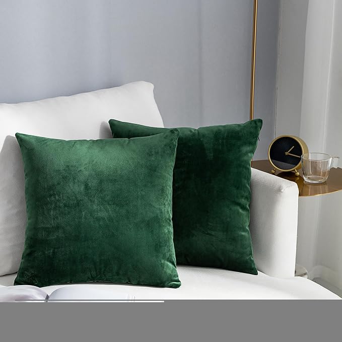 Stellhome Soft Velvet Throw Pillow Covers Square Decorative Cushion Covers for Bed Couch Sofa Bench, 16 x 16 inch (40 x 40 cm), Olive, Pack of 2