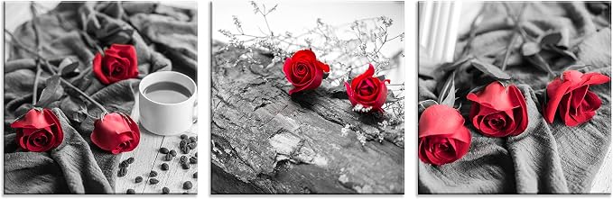 NAN Wind Canvas Print 3 Pcs Black and White Red Rose Canvas Art Painting Abstract Wall Art Decorations Flower Picture on Canvas for Home Decor Stretched and Framed (20X20inchX3pcs, B&w Rose)
