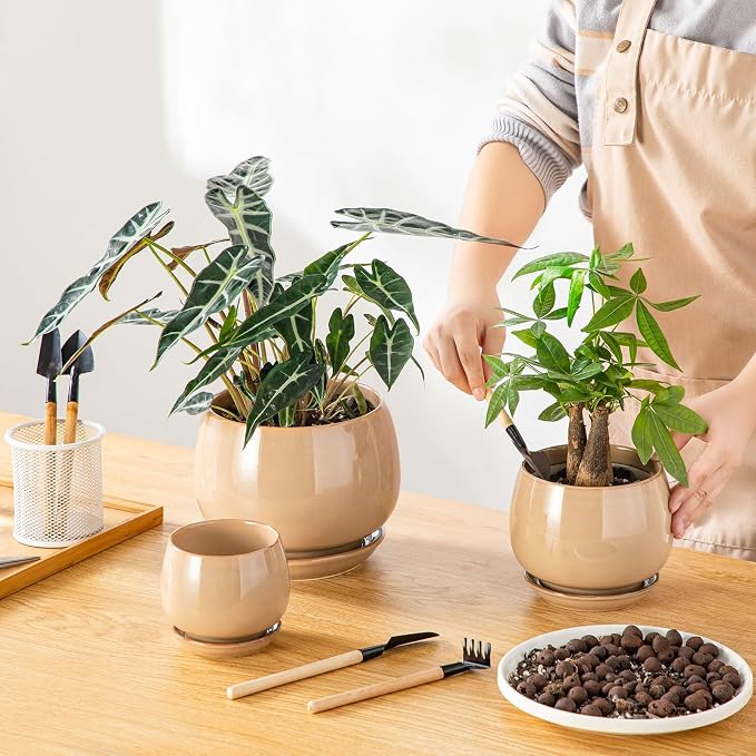 vancasso 3-Pack Ceramic Plant Pots, 3.7/4.8/6.2 Inch Indoor Planters with Saucers & Drainage Hole Planter pots for Indoor Plants and Flower, Brown