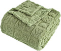FY FIBER HOUSE Throw Blankets with Heart Checkered,Soft Warm Blankets for Lover Mom Father Gifts,Washable Lightweight Fuzzy Blanket for Couch Sofa Bed All Season(Sage Green,60"x80")