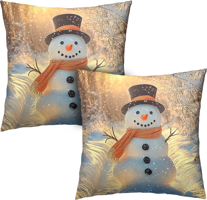 Winter Pillow Covers Snowman in The Sunshine Throw Pillow Covers 24x24 Snowflakes Pillow Case Double Sided Printing Cushion Case for Home Decor Couch Sofa Set of 2