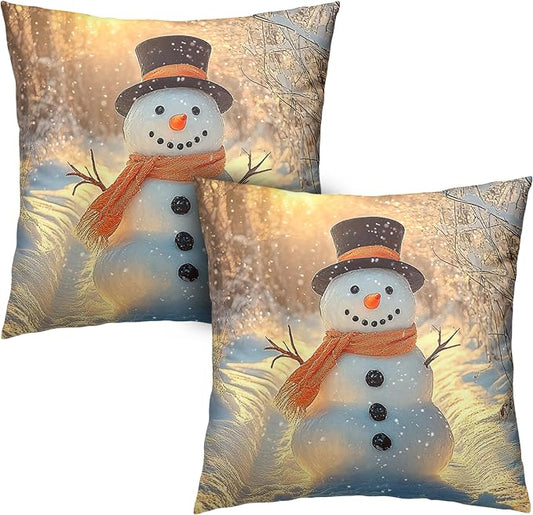 Winter Pillow Covers Snowman in The Sunshine Throw Pillow Covers 18x18 Snowflakes Pillow Case Double Sided Printing Cushion Case for Home Decor Couch Sofa Set of 2