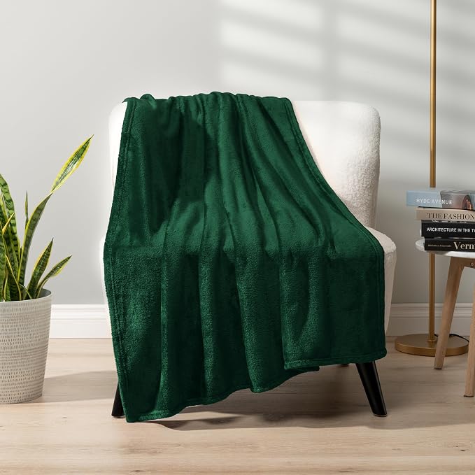 PAVILIA Fleece Blanket Queen Size | Super Soft, Plush, Luxury Flannel Throw | Lightweight Microfiber Blanket for Sofa Couch Bed (Emerald Green, 90x90 inches)