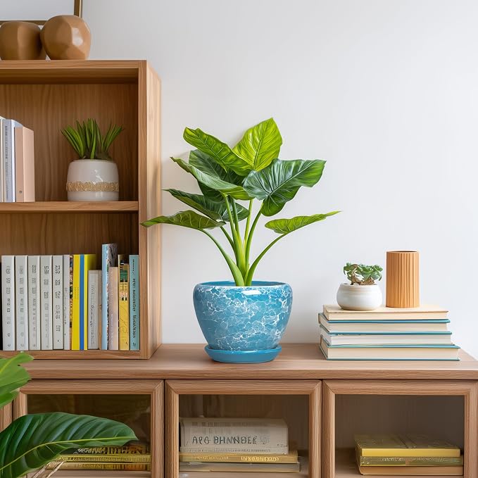 Ceramic Planters for Indoor Plants, 6 Inch Plant Pot, Bubble Blue | Round Plant Pots with Drainage Hole and Saucer, Modern Decorative Succulent Planter, Desk Decor, Gifts for Plant Lovers