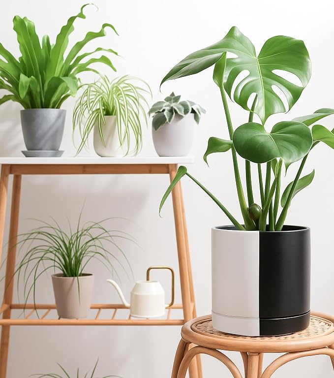 D'vine Dev 10 Inch Ceramic Planter Pot, Black White Split, 94-O-E-0 | Modern Cylinder Design, Drainage Hole & Saucer Included, Stable Structure, Elegant Home Accent