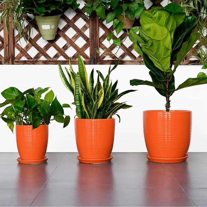 8 Inch Plant Pot, Ceramic Planters for Plants with Drainage and Saucer, Orange
