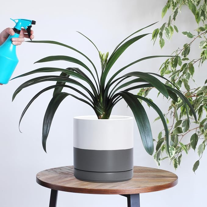 D'vine Dev 8.2 Inch Ceramic Planter Pot, White/Grey, 94-O-D-6 | Modern Cylinder Design, Drainage Hole & Saucer Included, Stable Structure, Elegant Home Accent