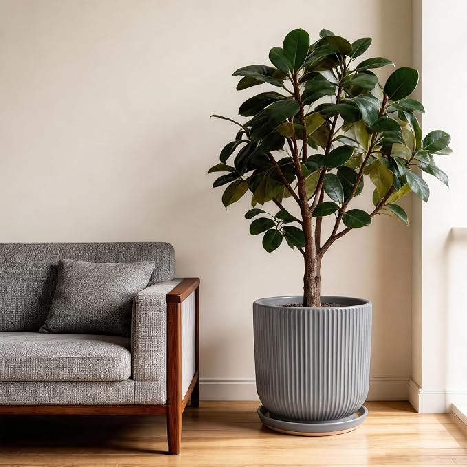 Deep Dream 10 Inch Ceramic Pots for Plants, Heavy Plant Pot for Indoor Outdoor Plants, Large Plant Pot with Drainage Hole and Saucer, Modern Tall Flower Pot, Gifts for Plant Lovers, Grey