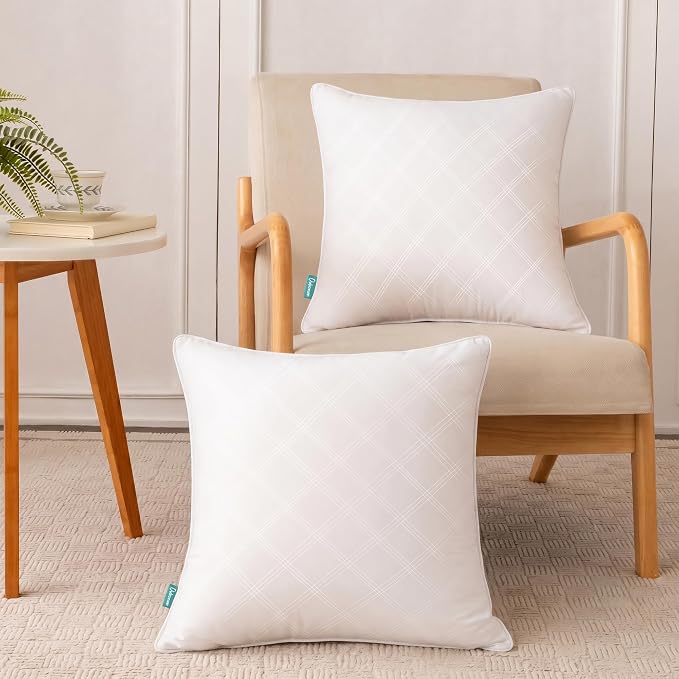 Oubonun 22x22 Throw Pillows Inserts, 2 Pack Square Decorative Pillows Inserts, Soft Fluffy Plump Pillow Sham Stuffer for Bed Couch Sofa Cushion