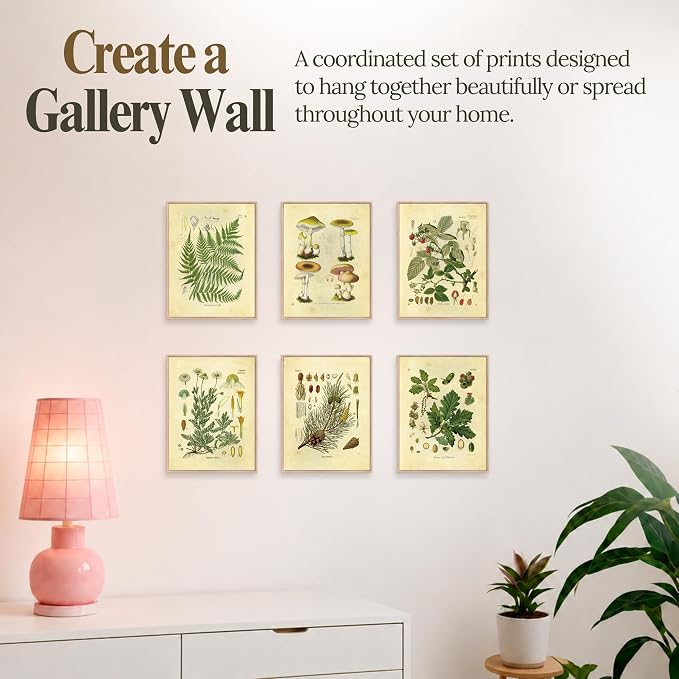 Vintage Botanical Prints | Woodland Plants by Ink Inc. | Forest Wildflower Mushrooms Wall Art | Boho Farmhouse Decor | Set of 6 8"x10" Unframed